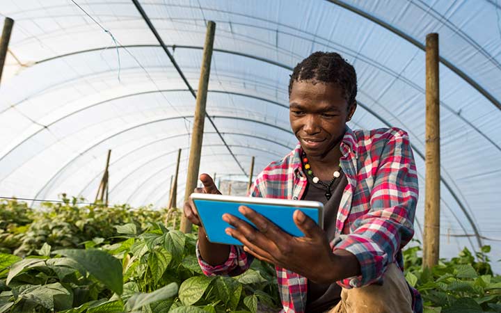 research-areas-international-istock-538326310 A researchers reviews information on a tablet inside a greenhouse.